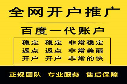 经典案例：SEM代运营服务公司的成功之路